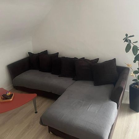 Logement Entier Proche Disneyland Montry Eksteriør billede